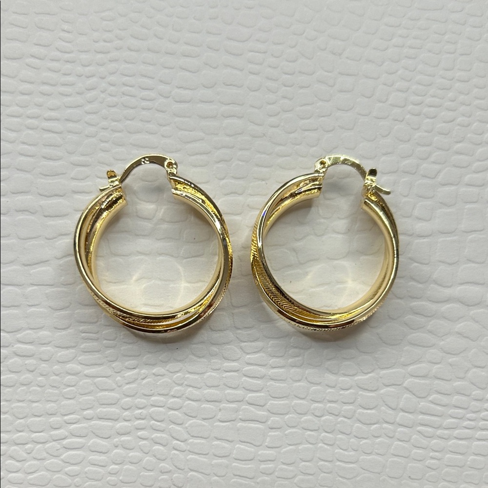 Elegant Gold Hoop Earrings